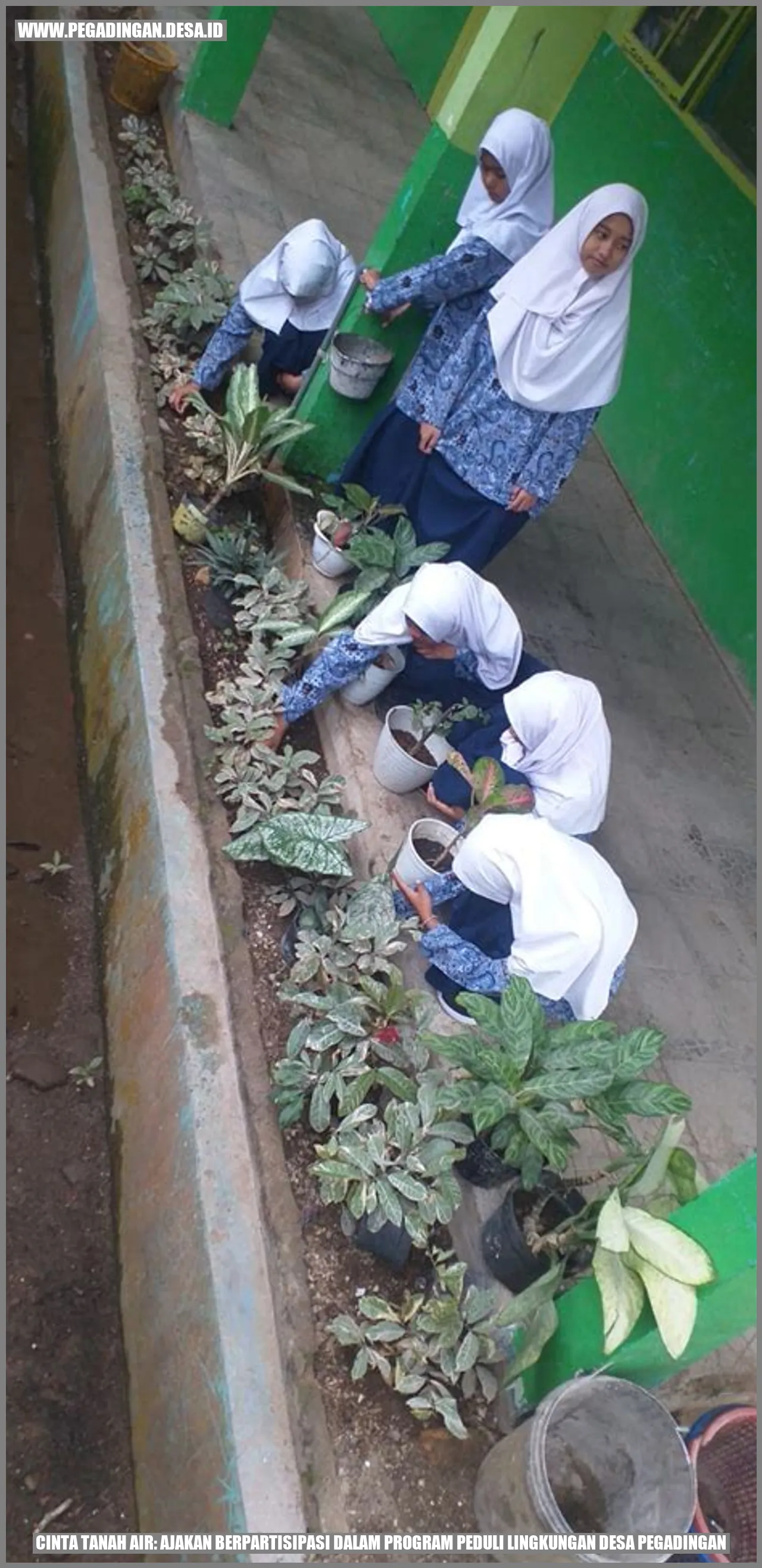 Cinta Tanah Air: Ajakan Berpartisipasi dalam Program Peduli Lingkungan Desa Pegadingan