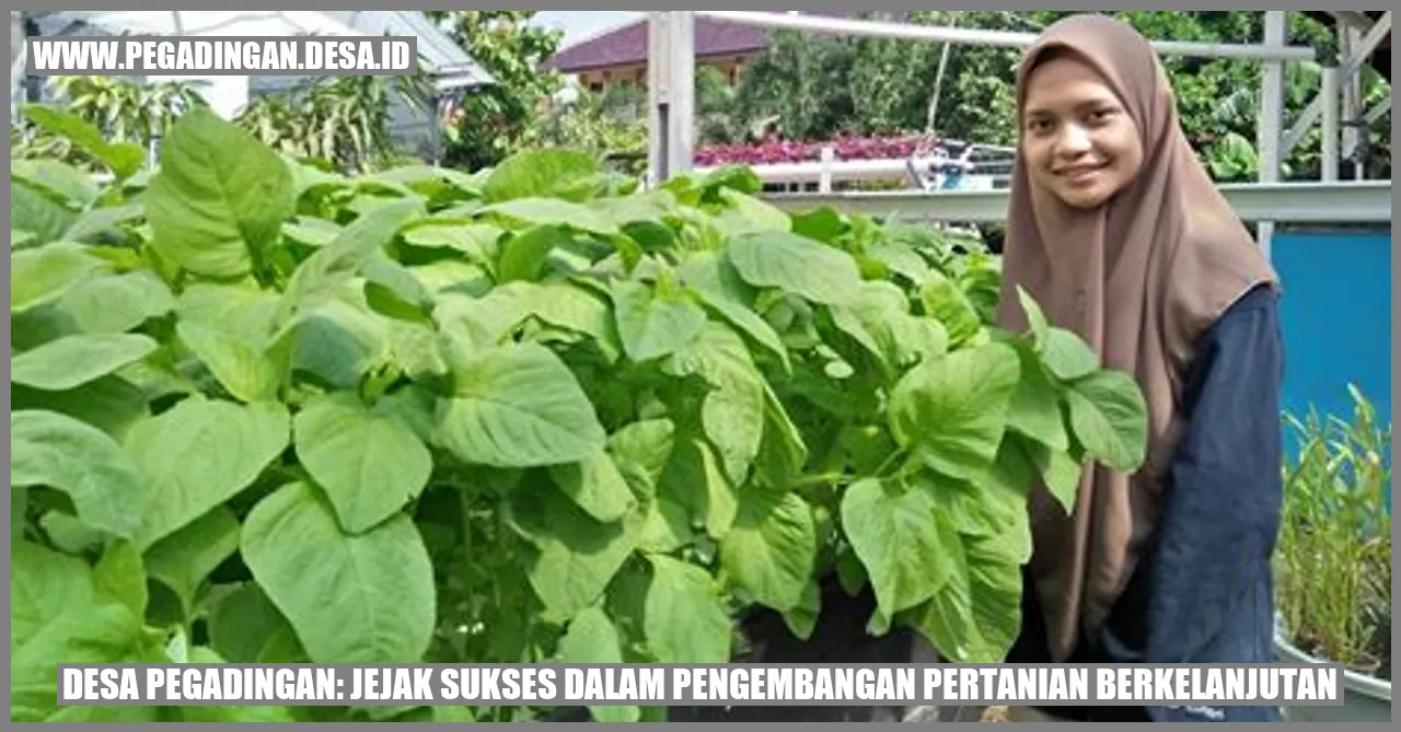 Gambar Desa Pegadingan