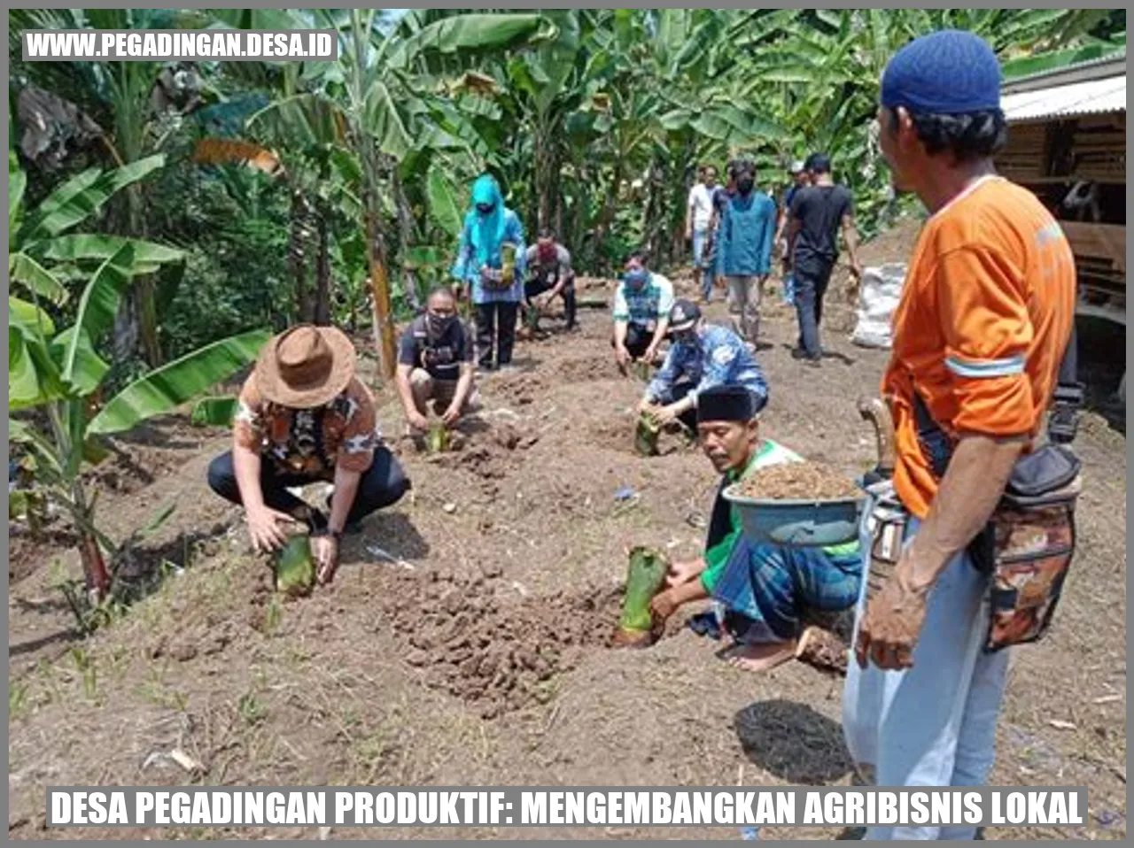 Desa Pegadingan Produktif: Mengembangkan Agribisnis Lokal