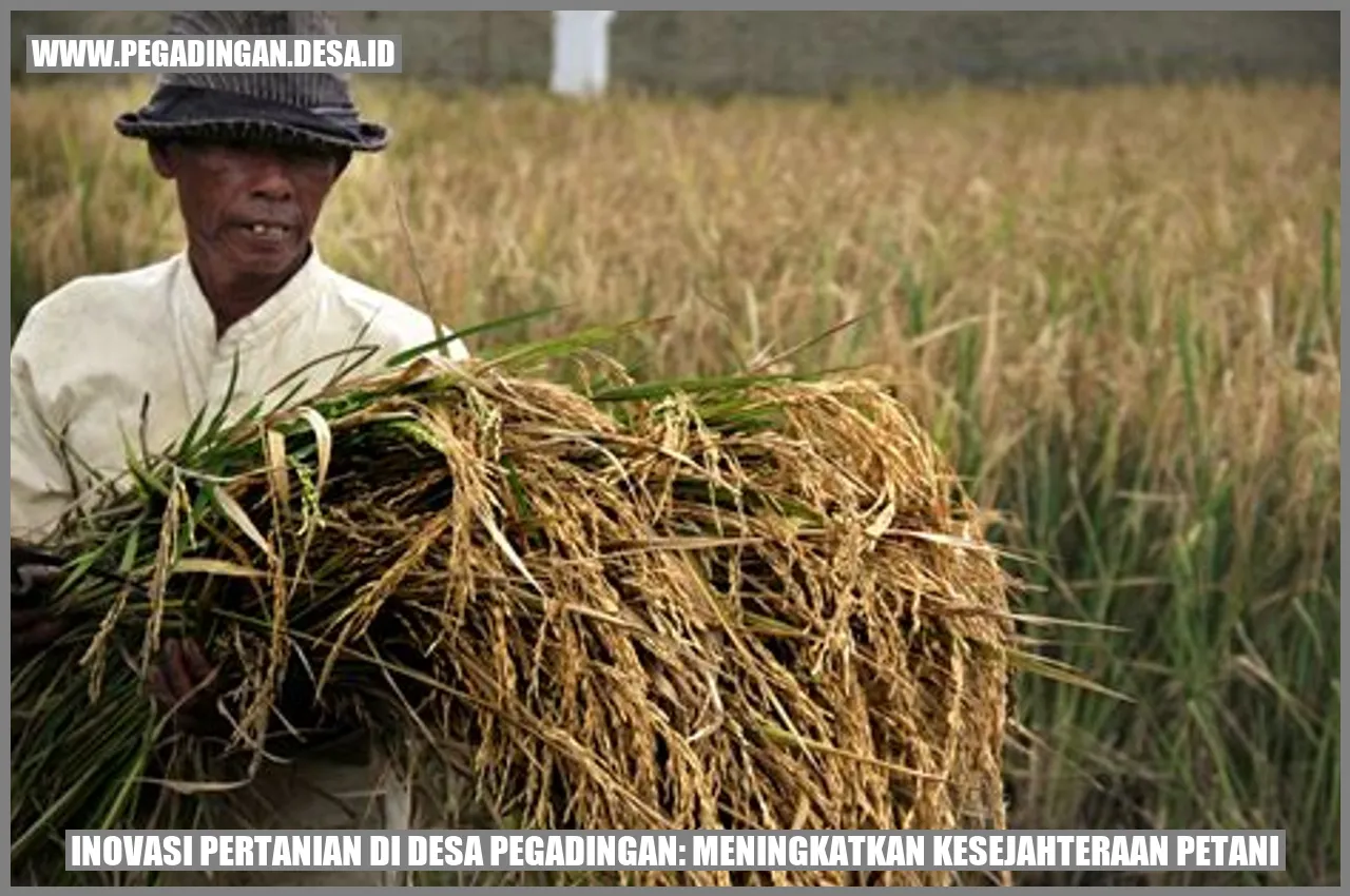 Inovasi Pertanian di Desa Pegadingan: Meningkatkan Kesejahteraan Petani