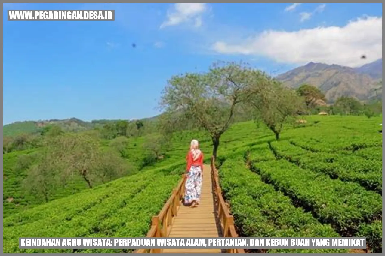 Keindahan Agro Wisata: Perpaduan Wisata Alam, Pertanian, dan Kebun Buah yang Memikat
