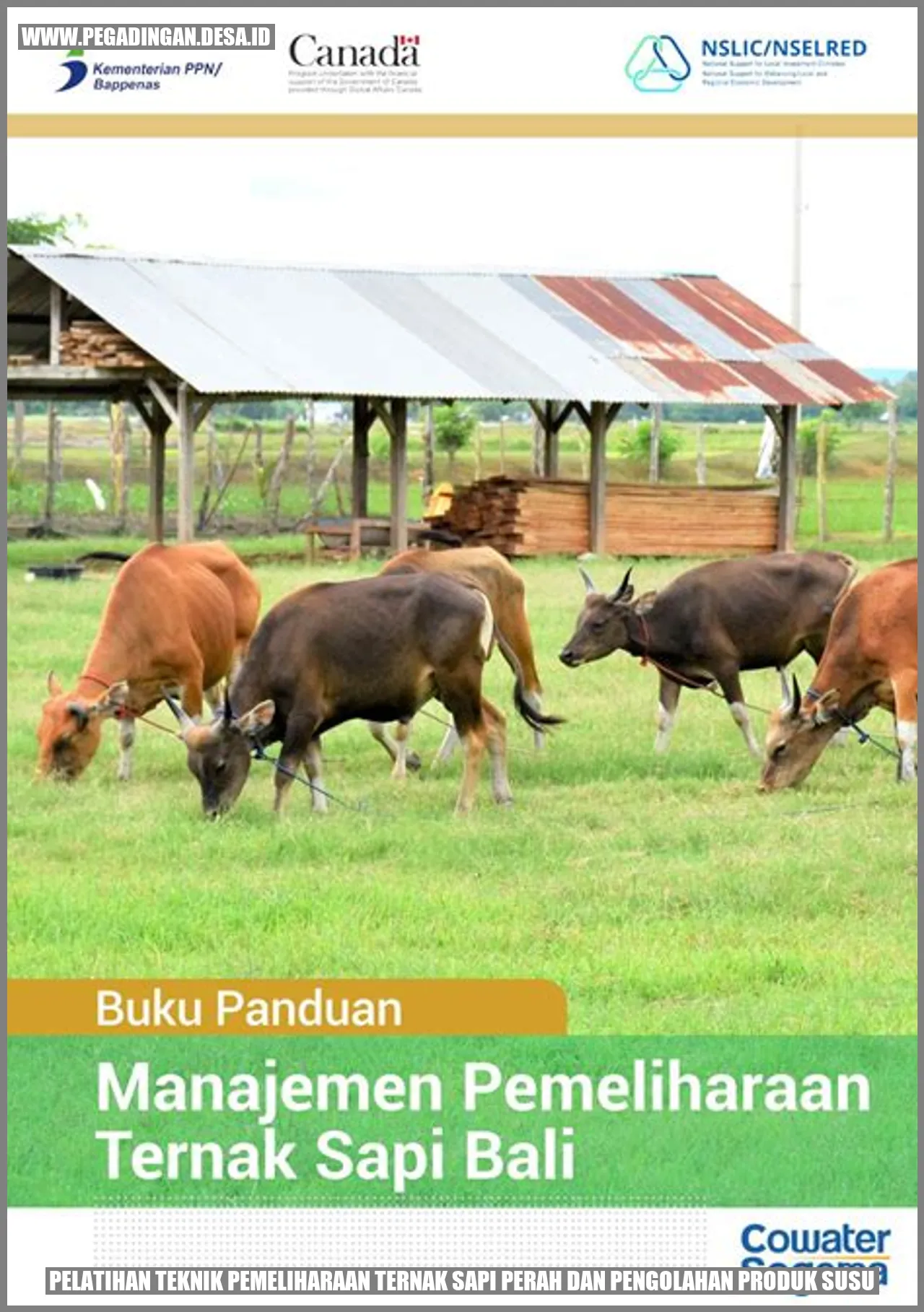 Pelatihan Teknik Pemeliharaan Ternak Sapi Perah dan Pengolahan Produk Susu