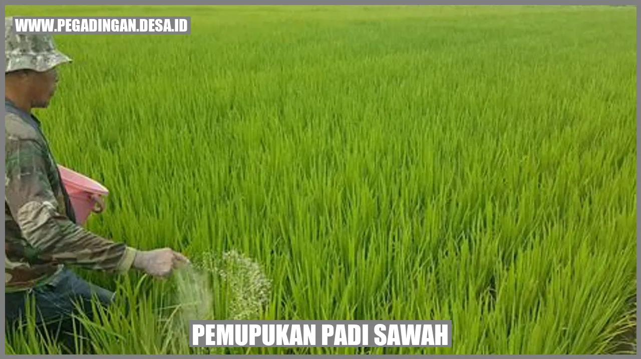 Pemupukan Padi Sawah