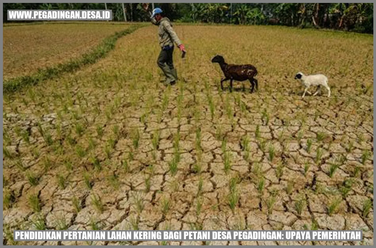 Pendidikan Pertanian Lahan Kering bagi Petani Desa Pegadingan: Upaya Pemerintah
