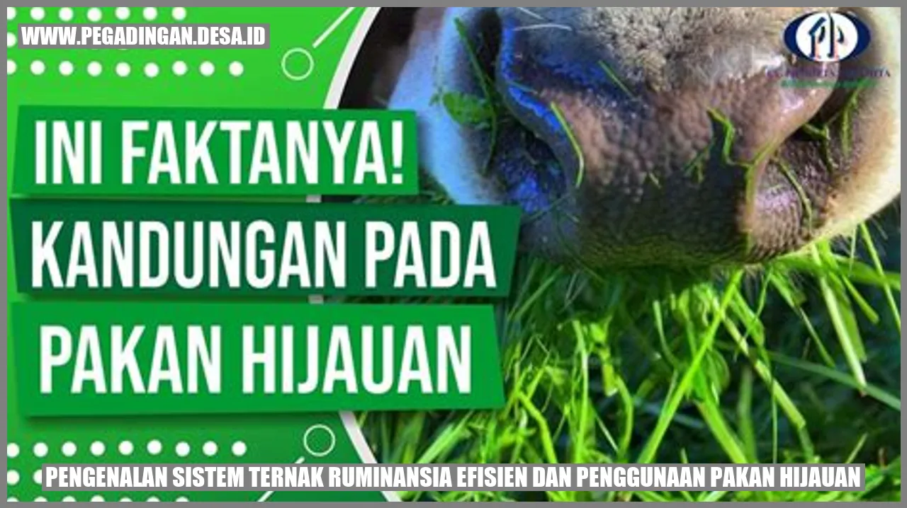 Pengenalan Sistem Ternak Ruminansia Efisien dan Penggunaan Pakan Hijauan
