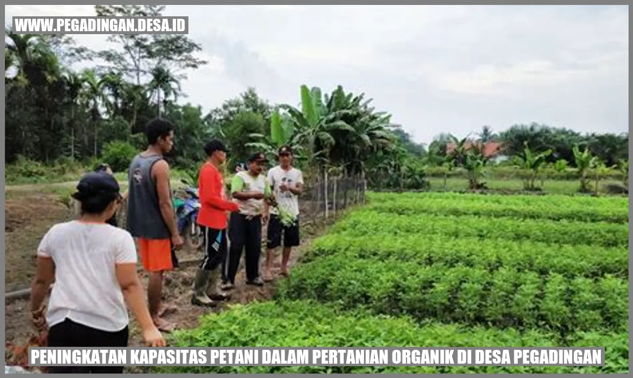 Peningkatan Kapasitas Petani dalam Pertanian Organik di Desa Pegadingan