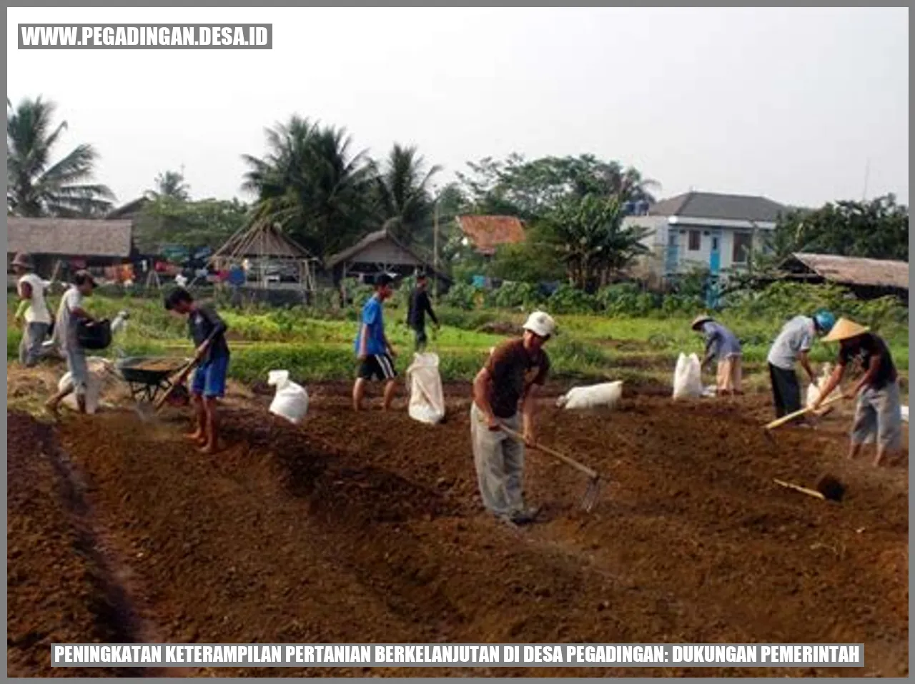 Peningkatan Keterampilan Pertanian Berkelanjutan di Desa Pegadingan: Dukungan Pemerintah