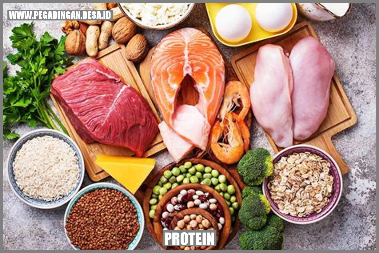 Gambar Protein