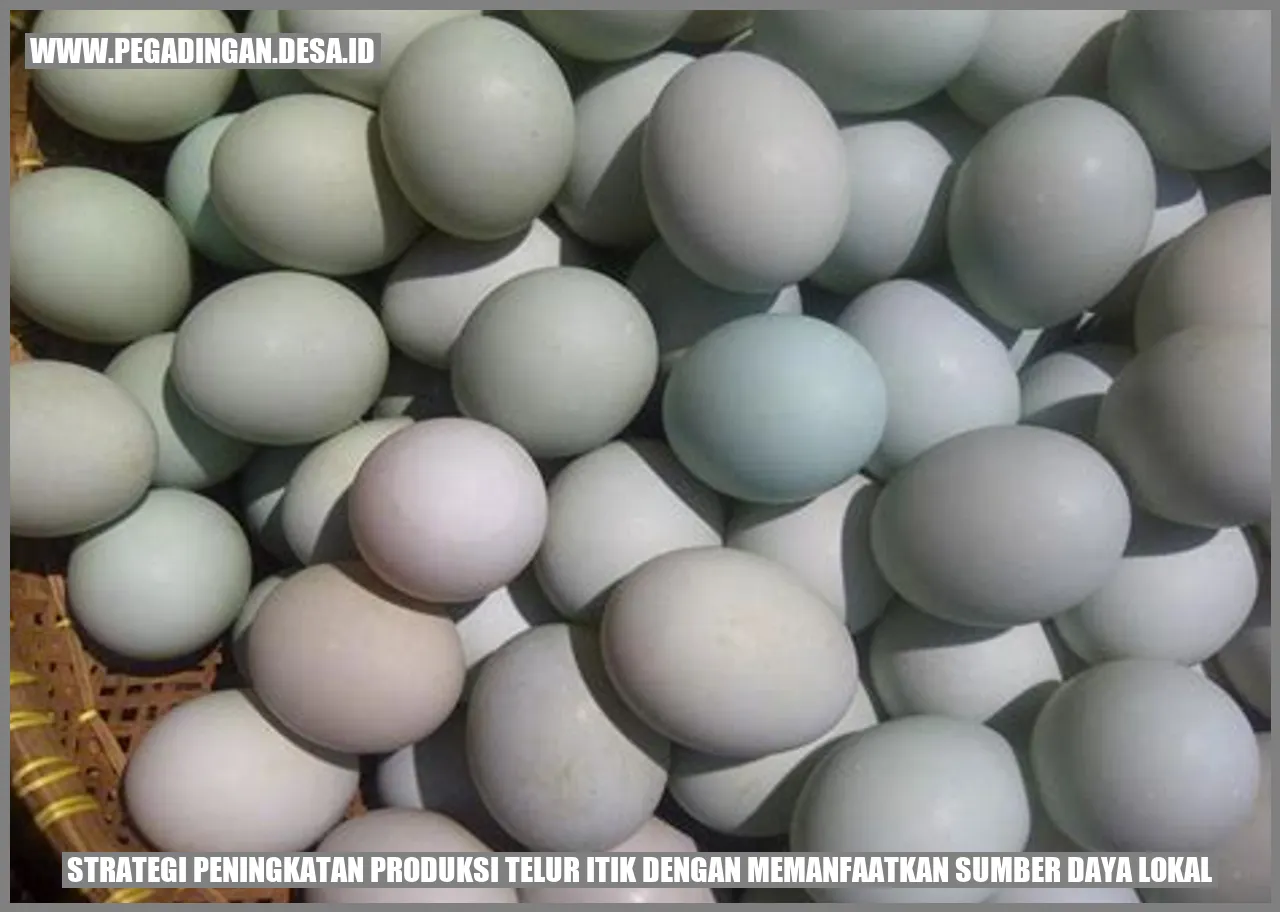 Strategi Peningkatan Produksi Telur Itik dengan Memanfaatkan Sumber Daya Lokal