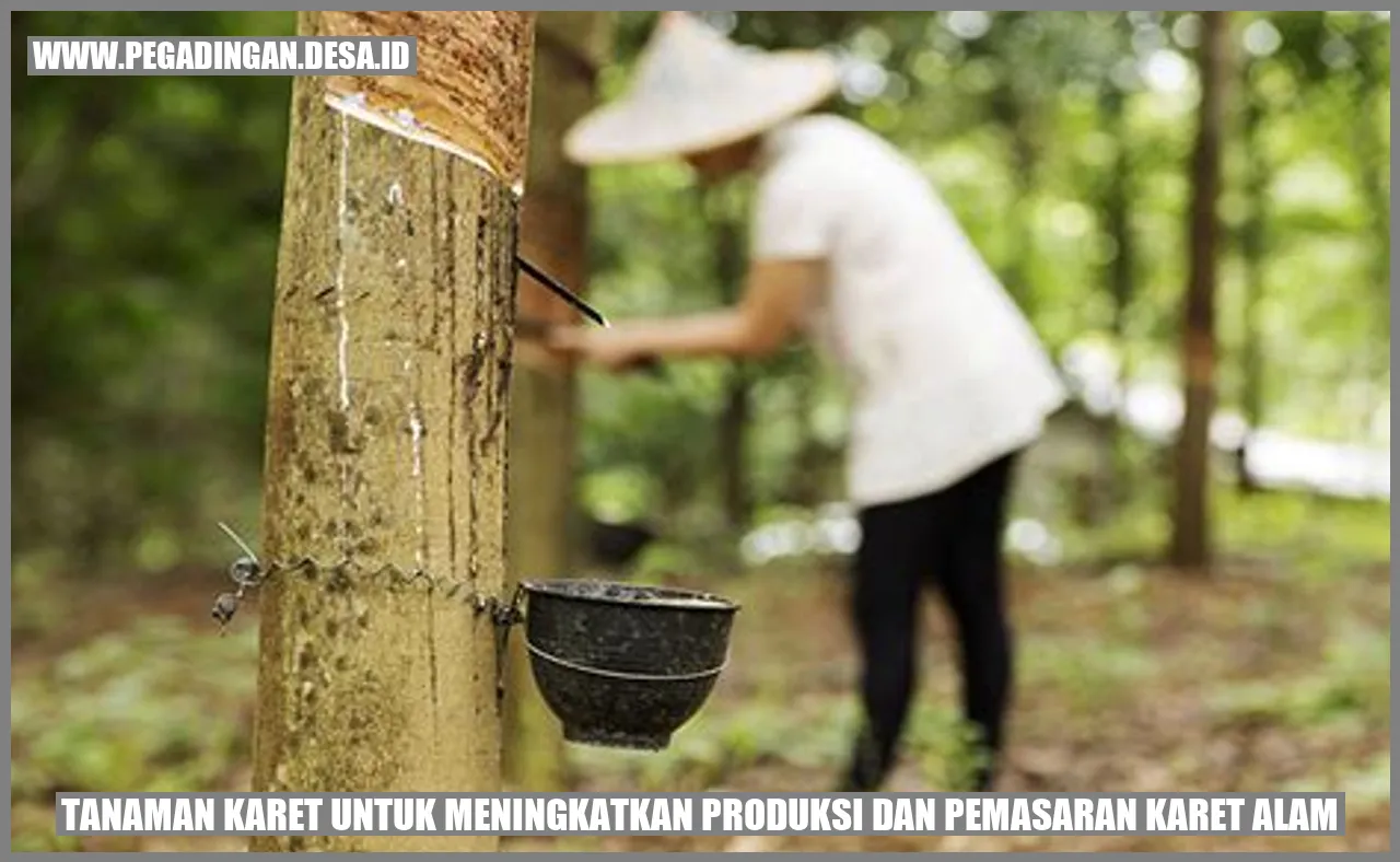 Tanaman Karet untuk Meningkatkan Produksi dan Pemasaran Karet Alam